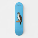 Pesquisar por águias skates Para todos