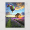 Pesquisar por campo da lavanda cartoes postais Paisagem