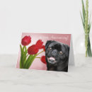 Pesquisar por puggles cartoes Pet