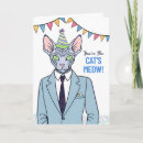 Pesquisar por do sphynx cartões cartoes Gato sem cabelo