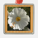 Pesquisar por cosmos ornamentos Flores