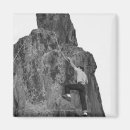 Pesquisar por granulado imas Apreciação