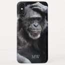 Pesquisar por chimpanzé engraçado eletronicos Animal