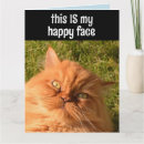 Pesquisar por persian cartoes Aniversário