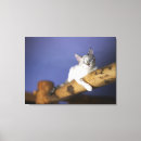 Pesquisar por olhos azuis impressão de canvas Horizontal