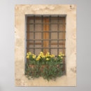 Pesquisar por janela pôsteres pósteres Flores