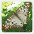 Pesquisar por borboleta exótica adesivos Tropical