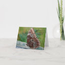 Pesquisar por morpho cartoes Butterfly
