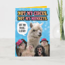 Pesquisar por cute monkey cartoes postais Humor