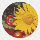 Pesquisar por flor gigante adesivos Girassol