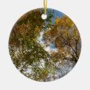 Pesquisar por folhas de outono ornamentos Qualquer pessoa