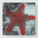 Pesquisar por areia da estrela mar relogios de parede Veleiro