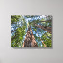 Pesquisar por muir impressão de canvas Floresta