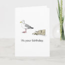 Pesquisar por seagull cartoes Engraçado