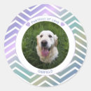 Pesquisar por foto animal adesivos Para ela