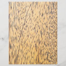 Pesquisar por palma flyers Palmeira