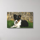 Pesquisar por border collie de de impressão de canvas Filhote de cachorro