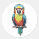Pesquisar por papagaio colorido adesivos Tropicais