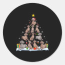 Pesquisar por do weimaraner adesivos Natal