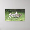 Pesquisar por cavalo bonito impressão de canvas Animais
