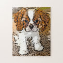 Pesquisar por cavaliers Animal
