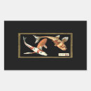 Pesquisar por koi adesivos Japonês