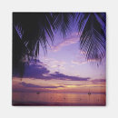 Pesquisar por ninguém imas Palmeira