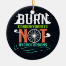 Pesquisar por reciclagem ornamentos Dia da terra