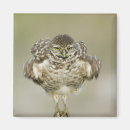 Pesquisar por comportamento imas Humor