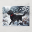 Pesquisar por preto labrador retriever de cartoes postais Cachorro