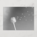 Pesquisar por papel origami cartoes postais Gruas