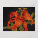 Pesquisar por laranja preto cartoes postais Natureza