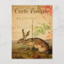 Pesquisar por flores francesas cartoes postais Colheita