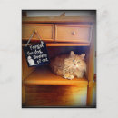 Pesquisar por vet cartoes postais Gato