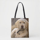 Pesquisar por comprimento completo bolsas Cão