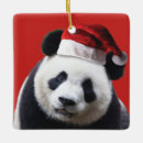 Pesquisar por panda do natal ornamentos Para todos