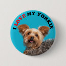 Pesquisar por do yorkshire terrier acessorios Animal