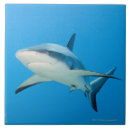 Pesquisar por riscas azulejos Animais