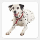 Pesquisar por cão louco adesivos Filhotes