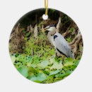 Pesquisar por garça real ornamentos Natureza