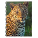 Pesquisar por make up cadernos de notas Imagem de cor