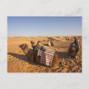 Pesquisar por paisagem africana cartoes postais Pôr do sol