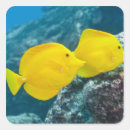 Pesquisar por press adesivos Animal