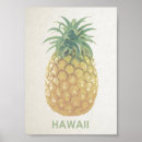 Pesquisar por posters de havaí pôsteres pósteres Aloha