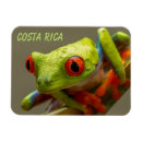 Pesquisar por anfíbio imas Natureza