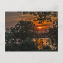 Pesquisar por árvores cartoes postais Amarelo