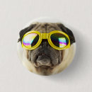 Pesquisar por pug botons Animal