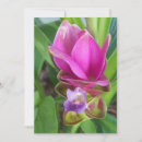 Pesquisar por imagens das flores convites Foto