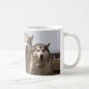 Pesquisar por malamute canecas Rouco