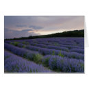 Pesquisar por campo agrícola cartoes postais Europa